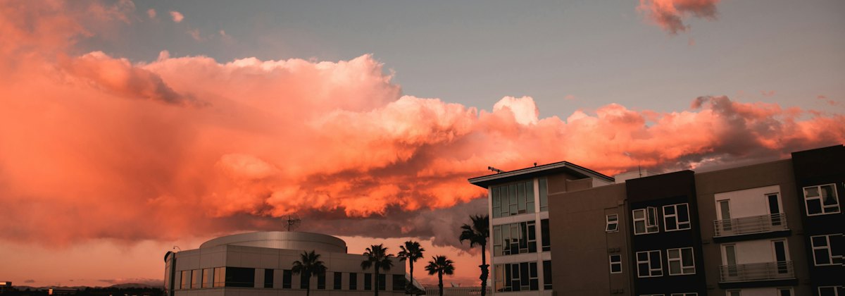 Modern apartment buildings and palm trees at sunset